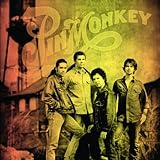 Pinmonkey