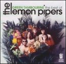 Green Tambourine