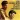 The Golden Hits of the Everly Brothers