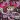 Clubland featuring Zemya Hamilton