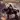 Molly Hatchet