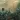Katy Lied