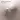 Human