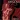 Songs about Jane