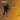Digital Bullet