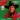 Merry Christmas Strait to You