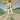 Separate Ways