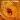 Ferment