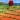 Lost Horizons