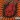 St. Anger