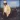 Goodbye Girl