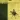 Goldfly