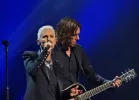 Roxette