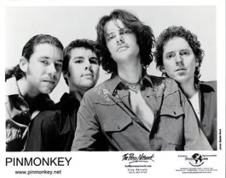Pinmonkey