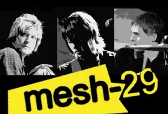 Mesh-29