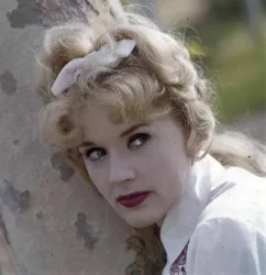 Connie Stevens