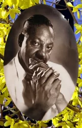 Sonny Boy Williamson [2°]