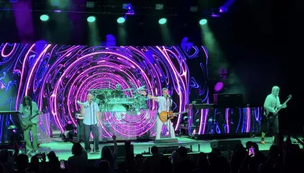 311