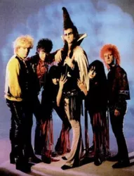 Doctor and the Medics