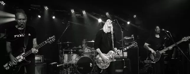 Puddle of Mudd