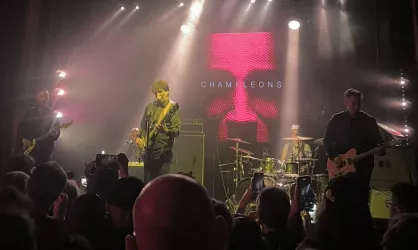 The Chameleons
