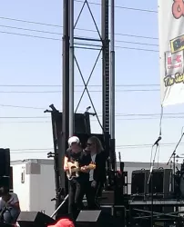 The Orwells