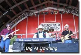Big Al Downing