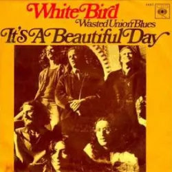 White Bird