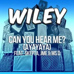 Can You Hear Me? (Ayayaya)