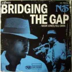 Bridging the Gap