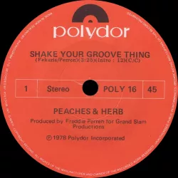 Shake Your Groove Thing
