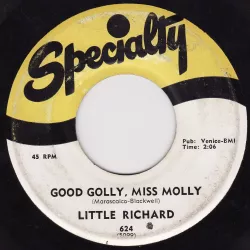 Good Golly Miss Molly / Rip It Up