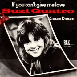 If You Can't Give Me Love