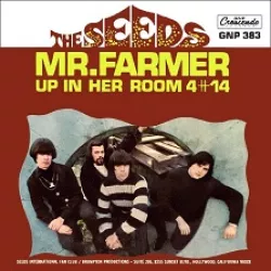 Mr. Farmer