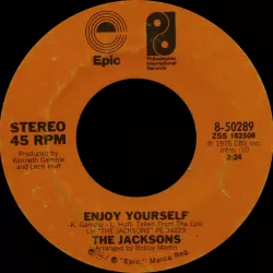 Enjoy Yourself