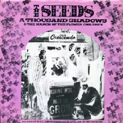 A Thousand Shadows