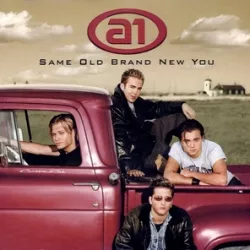 Same Old Brand New You