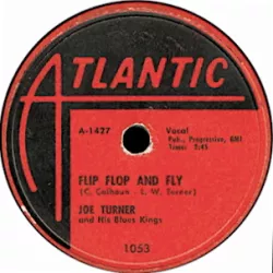 Flip, Flop and Fly