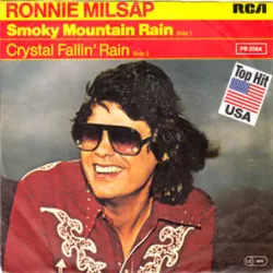 Smokey Mountain Rain