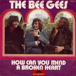 How Can You Mend a Broken Heart?
