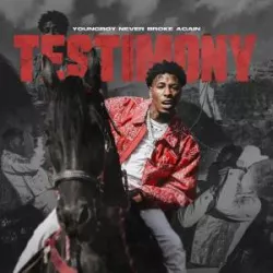 Testimony