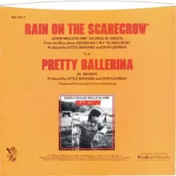 Rain on the Scarecrow