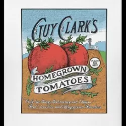 Homegrown Tomatoes