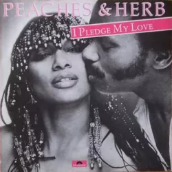 I Pledge My Love