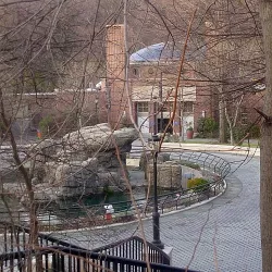 Brooklyn Zoo