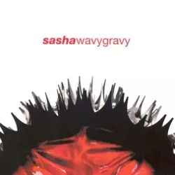 Wavy Gravy