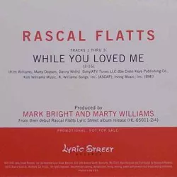 While You Loved Me