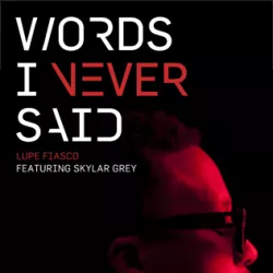 Words I Never Said