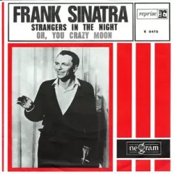 Strangers in the Night