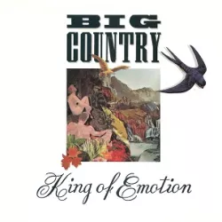 King of Emotion